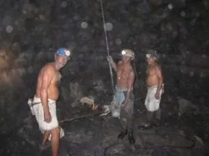 publive-image