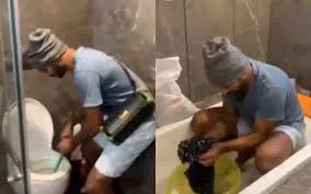 publive-image