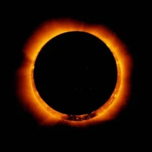 publive-image