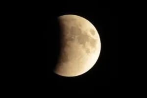 publive-image