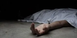 publive-image