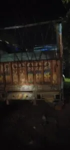publive-image