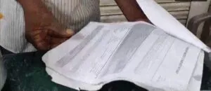 publive-image
