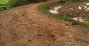 publive-image