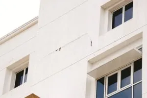 publive-image