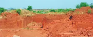 publive-image