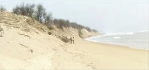 publive-image