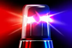 publive-image