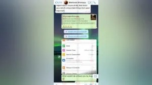 publive-image