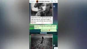 publive-image