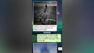publive-image