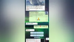 publive-image