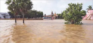 publive-image