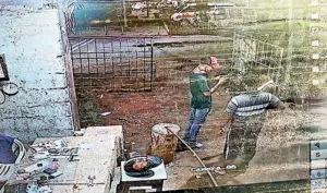 publive-image
