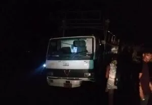 publive-image