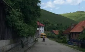 publive-image