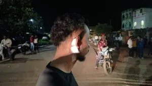 publive-image