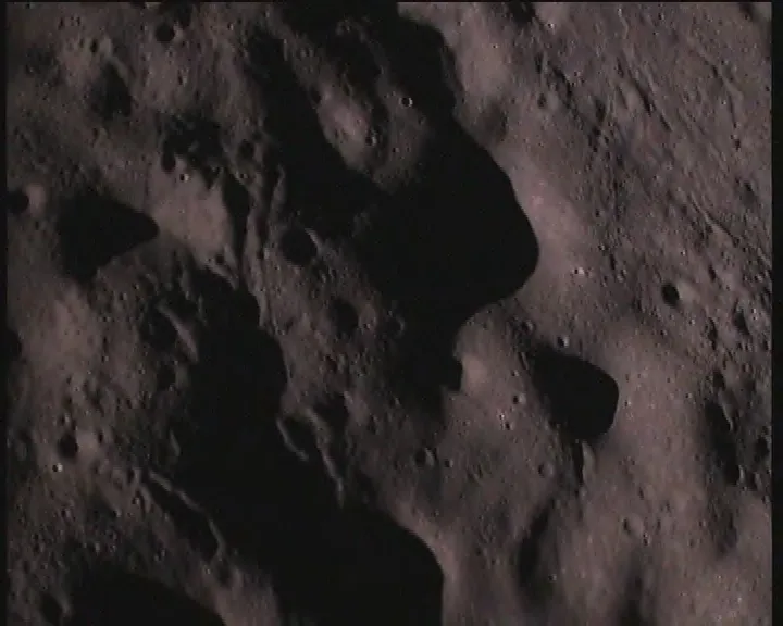 publive-image