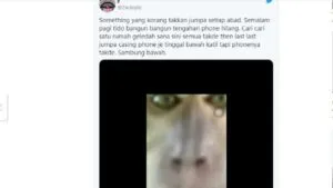 publive-image