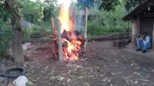 publive-image