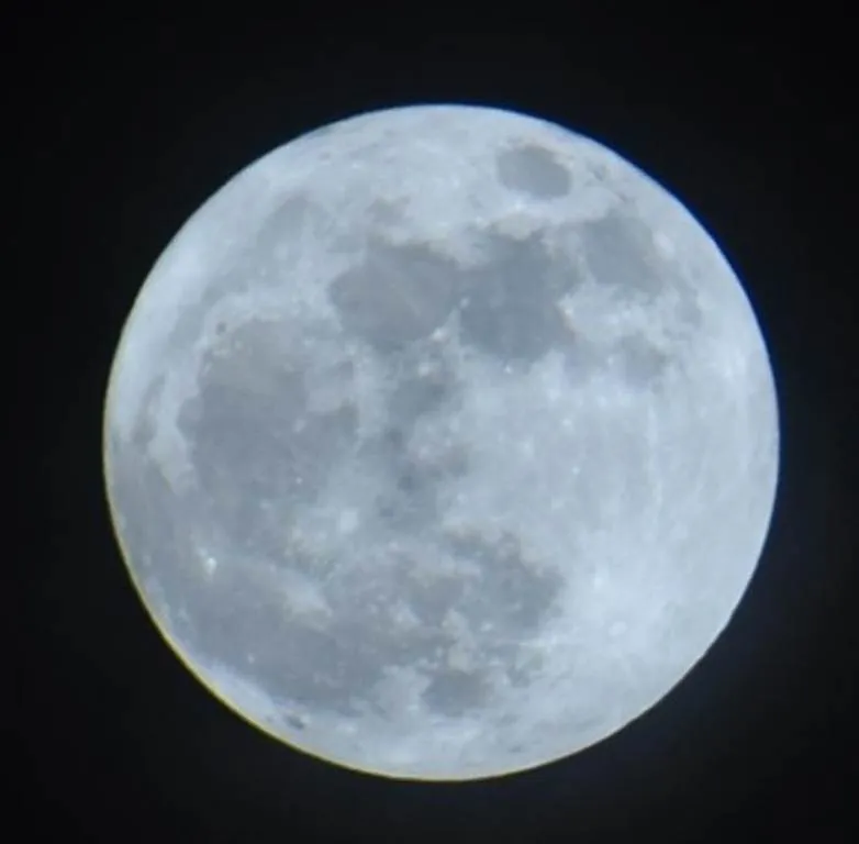 publive-image
