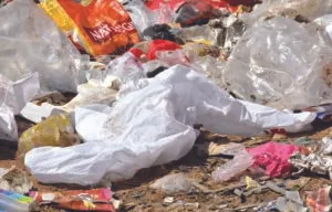 publive-image