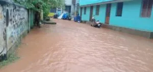 publive-image