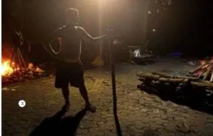publive-image