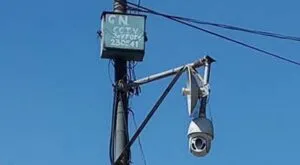 publive-image
