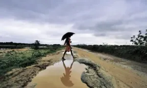 publive-image
