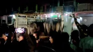 publive-image