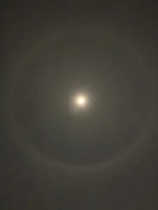 publive-image