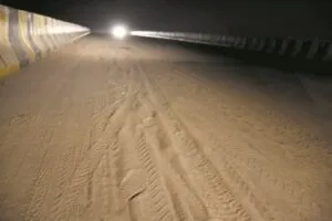 publive-image