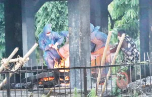 publive-image