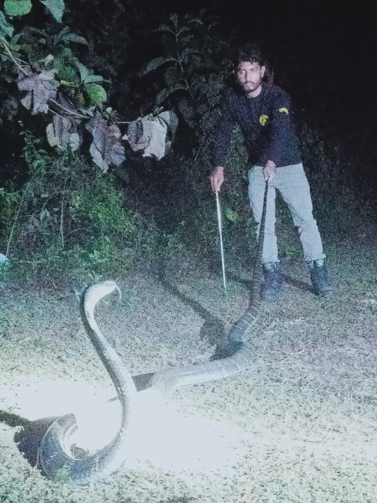 publive-image