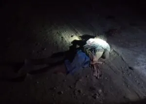 publive-image