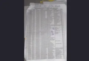 publive-image