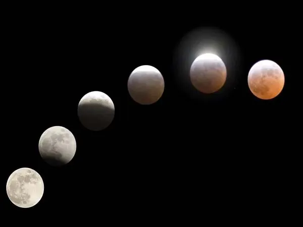 publive-image
