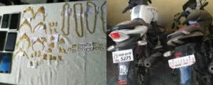 publive-image
