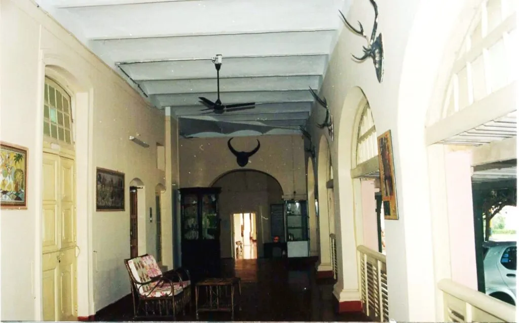 publive-image