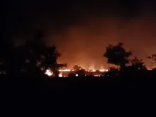 publive-image