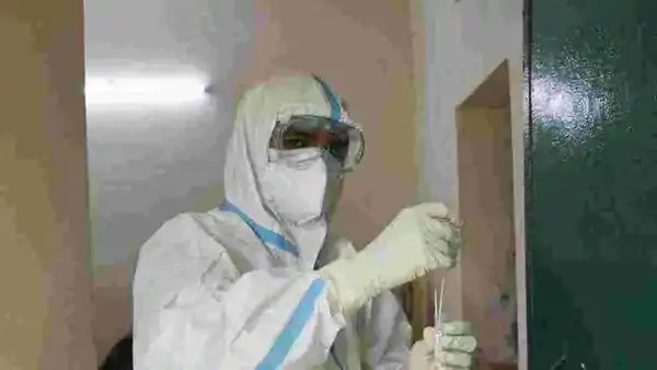 publive-image