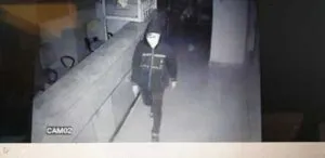 publive-image