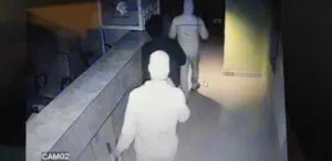 publive-image
