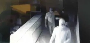 publive-image