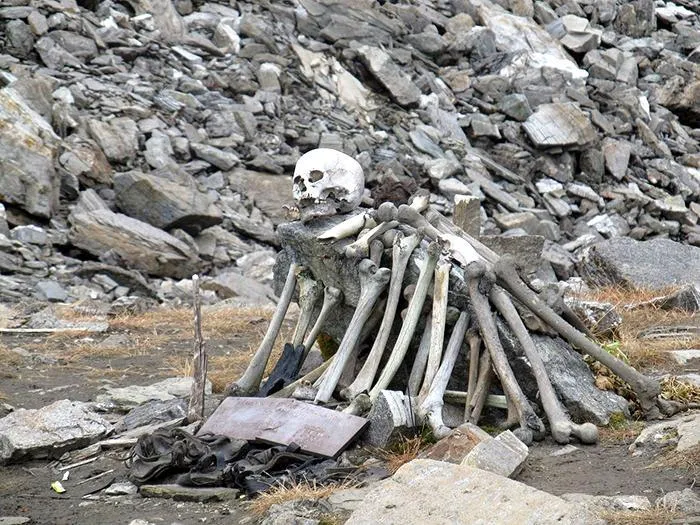 publive-image