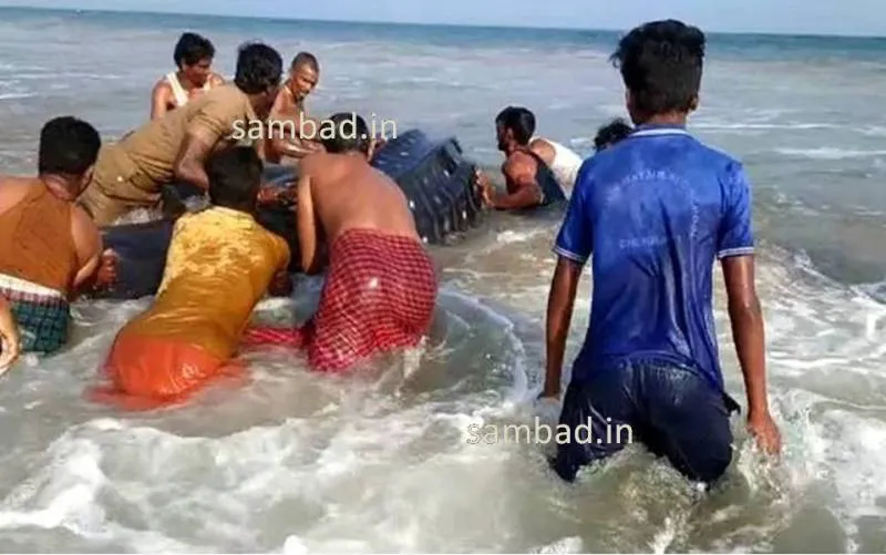 publive-image
