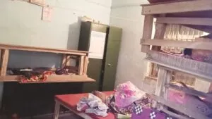 publive-image