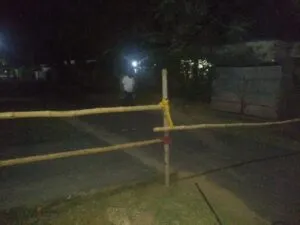 publive-image