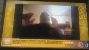 publive-image